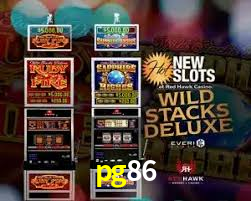 Premium Interface pg86